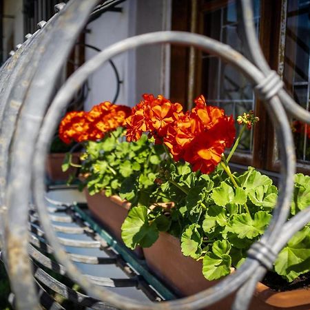 Ferienwohnung Zypresse Meran Buitenkant foto